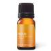 Aromatics International Focus Essential Oil Blend 10ml | Aromatherapy Oil for Concentration