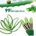 Genenic Aloe Vera Lipstick - Long Lasting Moisturizing Lip Makeup | Color Changing & Anti-Cracking Formula for Charming Shine | 1Pc - Buy Online on GoSupps.com