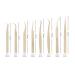 Eyeline 8-Part Eyelash Extension Tweezers Set | Steel Beauty Tools in Pearly Gold - Precision Tweezers for Lash Extensions - Buy Online on GoSupps.com