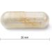 Jamieson Probiotic 30 Billion - Buy Online on GoSupps.com