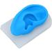 Buy Gernie Ear Model Accessories - Realistic Human Ear Displays for Anatomy & Hearing Enhancement - Buy Online on GoSupps.com