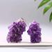 Natural Quartz Amethyst Cluster Stones Specimen Home Decoration Crafts Purple Crystal Sample 1Pcs Crystsl Cluster 30-40g Home Goods (Color : Crystsl Cluster Size : 40-50g) 40-50g Crystsl Cluster - Buy Online on GoSupps.com