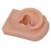 Silicone Right Ear Model for Piercing Training and Earrings Display - Dark Skin Color - Buy Online on GoSupps.com