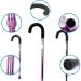 Crutches for The Elderly Crutches Adult Outdoor Climbing Cane Retractable Walking Aid Cane Everything is fine Warm Life - Buy Online on GoSupps.com