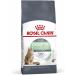 Royal Canin Cat Food Digestive Comfort Dry Mix 2 kg