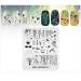 KADS Nail Art Stamping Plate - Spring Willow Swan Design | Nail Art Tools & Decoration (CN019) - Buy Online on GoSupps.com