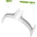 Beavorty 1pc Mask Eyebrow Shaper Ruler Professional Eyebrow Ruler Portable Eyebrow Ruler Standard Size Major - Buy Online on GoSupps.com