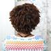 QITAQOTA Clearance Short Curly Wig with Bangs for Black Women - Afro Style Wigs for Women - Buy Online on GoSupps.com