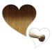 Global Extend human hair weft 45cm ombr #06/15 110 g hazelnut brown/chai blonde 100 cm (1 pack)