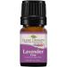 Buy Plant Therapy Lavender Fine Essential Oil 5 mL | 100% Pure Undiluted Therapeutic Grade - International Shipping Available - Buy Online on GoSupps.com