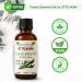 OTTO AURA Pure Eucalyptus Essential Oil 4 Fl Oz (118ml) Premium Grade with Glass Dropper - Buy Online on GoSupps.com