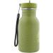 Trixie Stainless Steel Kids Drinking Bottle 350ml - Mr. Dino Dinosaur | Eco-Friendly Durable & Stylish Child Water Bottle - Buy Online on GoSupps.com