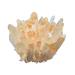 Crystal Rough 200-300G Natural Light Orange Crystal Flower Cluster Eliminating Stone Suitable for Home