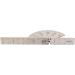 Buy Finger Goniometer 0-180 | Stainless Steel | 9 cm Length | Accurate Joint Measurement Tool - International Shipping Available - Buy Online on GoSupps.com