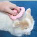 SWZEC True Cat Love - Pink Massage & Grooming Comb for Cats | International Shipping Available - Buy Online on GoSupps.com