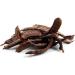  Tazarin LTD 100g Whole Carob Pods | Dried Carob Pods | Whole Carob Intense Flavour & Taste - 100% Natural Pure & No Additives | TazarinLtd - Buy Online on GoSupps.com
