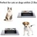 XKX Elevated Dog Bowls for Small Dogs and Cats - Stainless Steel Bowls with Stand and Silicone Mat - Raised Feeder for Puppies and Kittens - Black - Buy Online on GoSupps.com