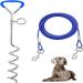 Pinching for dogs with dog leash 3m pallor dog floor anchor herring for outdoor earthspout dog leash for dog beach earth skewers blue leash blue