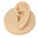 Soft Silicone Left Ear Simulation Model for Medical Teaching - Ideal for Hearing Aid Display - Buy Online on GoSupps.com