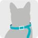 Sergeant's Guardian Flea & Tick Cat Collar - 1 Count | Long-lasting Protection - Buy Online on GoSupps.com