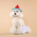 Shop Hacho Tutu Rock for Dogs - Wedding Tulle Tutus for Small & Medium Dogs | White 1 Pack with Hair Loop - Buy Online on GoSupps.com