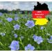 Buy German Organic Linseed Flour 1.6kg - Low Carb Keto-Friendly High Protein & Fiber Vegan 2-Pack - Mehler - Buy Online on GoSupps.com