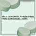 Altoids Menthe - Menthe verte 1 76 oz tain 12 unit s - Buy Online on GoSupps.com