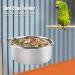 Stainless Steel Parrot Feeder | Hanging Food Bowl for Bird Cage | Raised Feeding Station with Drinking Cup (L) - Buy Online on GoSupps.com