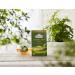 Ahmad Tea Green Tea - Individually Packaged Aroma-Sealed Tea Bags - 20 Bags (2 Pack) - Pure Green Tea for Freshness - Buy Online on GoSupps.com