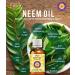 Deve Herbes Pure Neem Oil 200ml - Natural Therapeutic Grade Cold Pressed Azadirachta Indica | Effective Skin & Hair Care - International Shipping - Buy Online on GoSupps.com