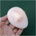 GRFIT Simulation Human Silicone Nose and Ear Model for Acupuncture Practice and Jewelry Display - Buy Online on GoSupps.com