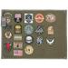 Foldable Military Patch Holder Panel - Ranger Green S | Tactical Patch Display Board - Buy Online on GoSupps.com
