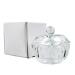 Fomiyes 2PC Clear Nail Art Acrylic Dappen Bowls - Glass Crystal Cups with Lids for Manicure Care Tools - Buy Online on GoSupps.com