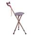 Walking Stick Seat Folding Stool Switch Sticks Three Legged Seat Stick Height Adjustable Aluminum Alloy 5 Gear Adjustment Static Loading 200Kg for Elder Parents Gift