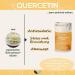 Quercetin 500 mg Capsules - 90 Vegan Bioflavonoids with High Bioavailability & Tolerability - Natural Plant-Based Supplement - Buy Online on GoSupps.com