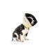 All Four Paws The Comfy Cone Pet Collar M Skin-colored