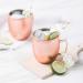 Thoughfully Cocktails Mule Master Mixer Set - 6 Vegan and Vegetarian Flavors - Moscow Berry & More - Non-Alcoholic Moscow Mule Mixers - Buy Online on GoSupps.com