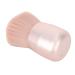 Blush Brush Cheek Brush Professional Portable for Beginners for Beauty-loving People for Make-up Talents