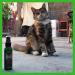 Organic Smokey's Stash Catnip Spray & Dried Combo Bundle - Maximum Potency Catnip for Cats - Buy Online on GoSupps.com