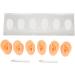 Silicone Ear Model Soft Accessories Human Ear Model for Centers for Headset Wearing Displays for ENT Doctors - Buy Online on GoSupps.com