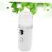 Hemoton 3 Pcs Mini Humidifier Spray Humidifier Skin Care Sprayer Nano Facial Mister Portable Humidifer White - Buy Online on GoSupps.com