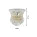 Buy Youya Transparent Dental Tooth Model for Dentists | Removable Pathological Teaching Model | International Shipping Available - Buy Online on GoSupps.com
