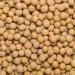 Wholefood Earth Organic Soya Beans 2kg - GMO Free, Vegan, High Fibre & Protein - Certified Organic - Buy Online on GoSupps.com