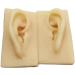 ERNZI Life Size Human Ear Model Set - 1:1 Acupuncture Educational Tool (Left & Right 9x5x7 cm) - Ideal for Students & Practitioners - Buy Online on GoSupps.com