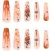 JUSTOTRY 24pcs Flame Fake Nails Long with Stars and Moon Orange French Press on Nails - Ballerina Medium Stick on Nails for Women Acrylic Coffin False Nails with Glue - Nail Art Orange & Stars - Buy Online on GoSupps.com
