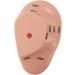 Buy Ear Massage Model - Accurate PVC Acupuncture Model - Ideal for Teaching & Labs - International Shipping Available - Buy Online on GoSupps.com