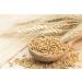 Organic Hulled Barley 2 Pounds - Non-GMO, 100% Whole Grain, Kosher, Vegan - High Fiber for Brewing & Cooking. Product of USA - 2lb Pack - Buy Online on GoSupps.com
