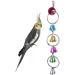 LOPERDEVE 7 inch Bird Mirror with Rope Perch Swing for Parakeet, Cockatiel, Conure, Lovebirds - Comfy Perch for Greys, Amazons, Finch, Canaries - Buy Online on GoSupps.com
