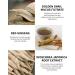 SKIN79 Golden Snail Intensive Essence | Concentrated Moisture Booster | Korean Skin Care | Shop Internationally - Buy Online on GoSupps.com