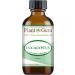 Eucalyptus Essential Oil 2 oz - 100% Pure Therapeutic Grade for Aromatherapy Sinus Relief & Congestion Relief - Fast International Shipping - Buy Online on GoSupps.com